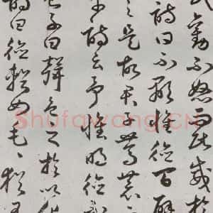 明代 豊道生 草书《古本中庸 (下)之二十五》毛笔书法草书作品图片欣赏