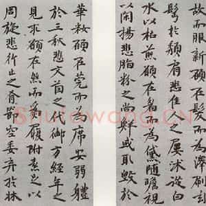 明代 祝允明 行书《陶渊明闲情赋 之二》毛笔书法行书作品图片欣赏