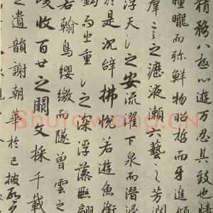 唐代 陆柬之 行楷书《陆机文赋 之三》毛笔书法行楷书作品图片欣赏