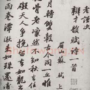 宋代 苏轼 行书《宋四家真迹 之四》毛笔书法行书作品图片欣赏