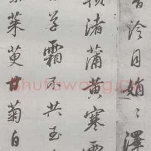 明代 董其昌 行书《元明书翰(24)桑寄生传 (16)》毛笔书法行书作品图片欣赏