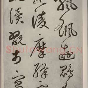 元代 边武 草书《千文之四十九》毛笔书法草书作品图片欣赏