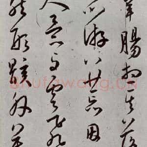 明代 王宠 草书《元明书翰(43)诗⑽》毛笔书法草书作品图片欣赏