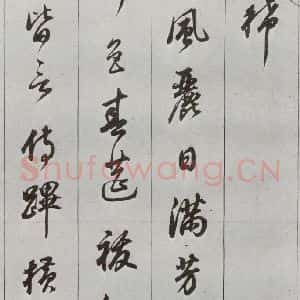 明代 董其昌 草书《元明书翰(56)诗⑵》毛笔书法草书作品图片欣赏