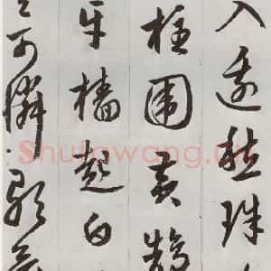 明代 周天球 草书《元明书翰(53)杜少陵诗四首⑺》毛笔书法草书作品图片欣赏