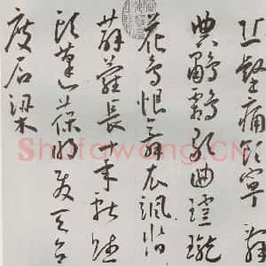 明代 王宠 草书《杂诗之二》毛笔书法草书作品图片欣赏