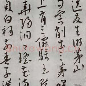 明代 王宠 草书《杂诗之七》毛笔书法草书作品图片欣赏