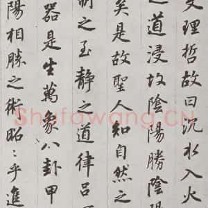 明代 董其昌 行书《杂书 之五》毛笔书法行书作品图片欣赏