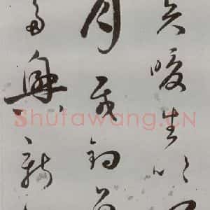 明代 王逢元 草书《明人诗翰 王逢元(7)》毛笔书法草书作品图片欣赏