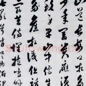 明代 娄坚 草书《娄坚书杜甫干元中寓居同古县作歌七首(10)》毛笔书法草书作品图片欣赏