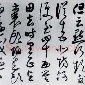 明代 丰坊 草书《丰坊书杜甫哀王孙等二首(11)》毛笔书法草书作品图片欣赏