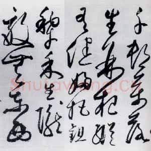明代 丰坊 草书《丰坊书杜甫哀王孙等二首(13)》毛笔书法草书作品图片欣赏