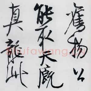 清代 程京萼 草书《程京萼书杜甫骢马行(9)》毛笔书法草书作品图片欣赏