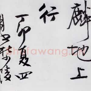 清代 程京萼 草书《程京萼书杜甫骢马行(16)》毛笔书法草书作品图片欣赏