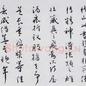 明代 祝允明 草书《祝允明书严维岁初喜皇甫侍御至(9)》毛笔书法草书作品图片欣赏