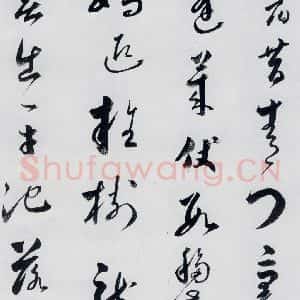 明代 娄坚 草书《娄坚书杜甫 李白诗十首(9)》毛笔书法草书作品图片欣赏