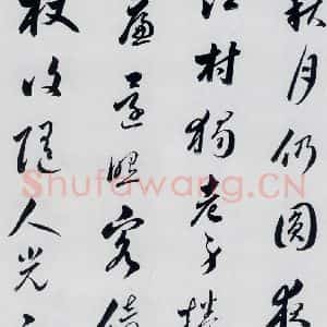 明代 娄坚 草书《娄坚书杜甫 李白诗十首(15)》毛笔书法草书作品图片欣赏