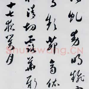 明代 娄坚 草书《娄坚书杜甫 李白诗十首(16)》毛笔书法草书作品图片欣赏