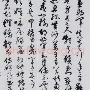明代 胡正 草书《胡正书岑参 杜甫诗三首(1)》毛笔书法草书作品图片欣赏