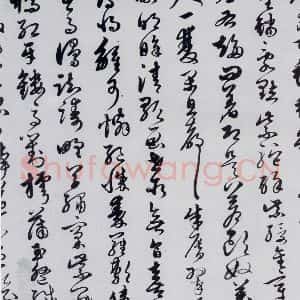 明代 胡正 草书《胡正书岑参 杜甫诗三首(2)》毛笔书法草书作品图片欣赏