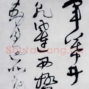 清代 王铎 草书《王铎书岑参 王维 杜甫诸人诗九首(9)》毛笔书法草书作品图片欣赏