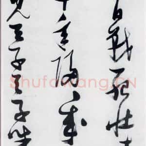 明代 张瑞图 草书《张瑞图书木兰诗(13)》毛笔书法草书作品图片欣赏