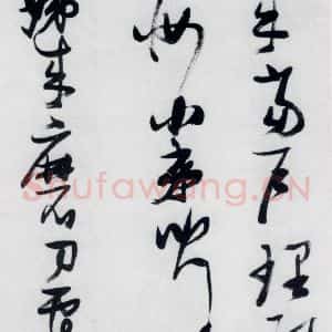 明代 张瑞图 草书《张瑞图书木兰诗(17)》毛笔书法草书作品图片欣赏