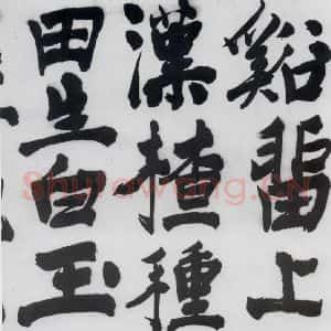 明代 陈淳 行书《陈淳书王维诗(6)》毛笔书法行书作品图片欣赏
