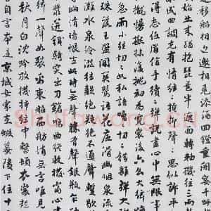 清代 张迪 行楷《张迪书白居易琵琶行并序(2)》毛笔书法行楷作品图片欣赏