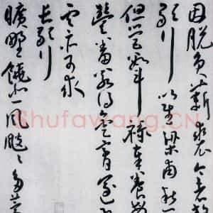 明代 王宠 草书《王宠书王昌龄郑县宿陶太公馆中赠冯六元二等十二首(8)》毛笔书法草书作品图片欣赏