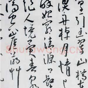 明代 王宠 草书《王宠书王昌龄郑县宿陶太公馆中赠冯六元二等十二首(16)》毛笔书法草书作品图片欣赏