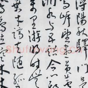 明代 王宠 草书《王宠书王昌龄郑县宿陶太公馆中赠冯六元二等十二首(24)》毛笔书法草书作品图片欣赏