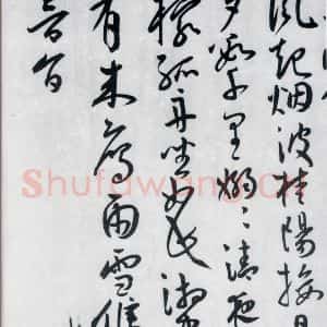 明代 王宠 草书《王宠书王昌龄郑县宿陶太公馆中赠冯六元二等十二首(27)》毛笔书法草书作品图片欣赏