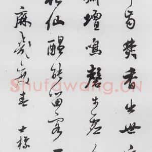 清代 查士标 草书《查士标书王昌龄诸人诗十首(8)》毛笔书法草书作品图片欣赏