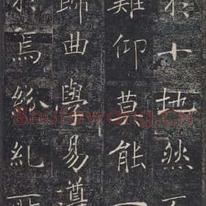 唐代 褚遂良 楷书《雁塔圣教序 之十二》毛笔书法楷书作品图片欣赏