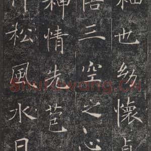 唐代 褚遂良 楷书《雁塔圣教序 之十四》毛笔书法楷书作品图片欣赏