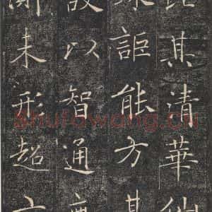唐代 褚遂良 楷书《雁塔圣教序 之十五》毛笔书法楷书作品图片欣赏