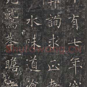 唐代 褚遂良 楷书《雁塔圣教序 之二十》毛笔书法楷书作品图片欣赏