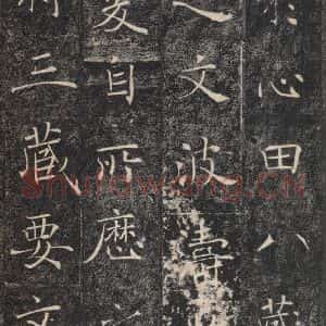 唐代 褚遂良 楷书《雁塔圣教序 之二十二》毛笔书法楷书作品图片欣赏