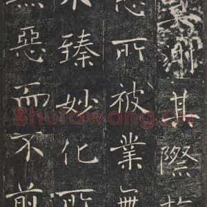 唐代 褚遂良 楷书《雁塔圣教序 之三十四》毛笔书法楷书作品图片欣赏
