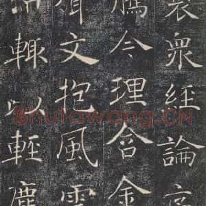 唐代 褚遂良 楷书《雁塔圣教序 之五十一》毛笔书法楷书作品图片欣赏