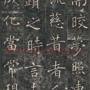 唐代 褚遂良 楷书《雁塔圣教序 之九》毛笔书法楷书作品图片欣赏