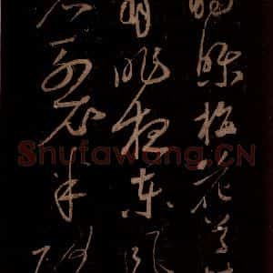 宋代 苏轼《题梅花之一之二》毛笔书法作品图片欣赏