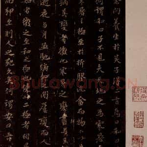 宋代 苏轼《问养生之一》毛笔书法作品图片欣赏