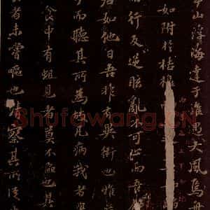 宋代 苏轼《问养生之二》毛笔书法作品图片欣赏