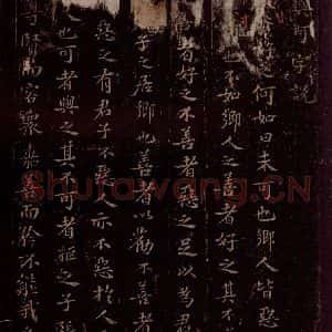 宋代 苏轼《文与可字说之一》毛笔书法作品图片欣赏
