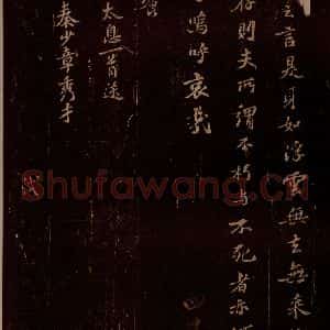 宋代 苏轼《太息送秦少章秀才之一》毛笔书法作品图片欣赏