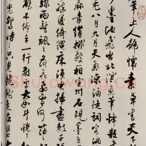 唐代 僧怀素 草书《千字文 之三十九》毛笔书法草书作品图片欣赏