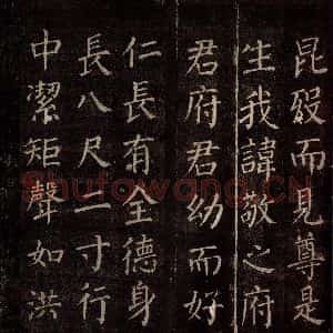 唐代 颜真卿 楷书《郭公庙碑铭(上) 之十一》毛笔书法楷书作品图片欣赏