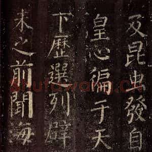 唐代 颜真卿 楷书《碑阴记 之二十九》毛笔书法楷书作品图片欣赏